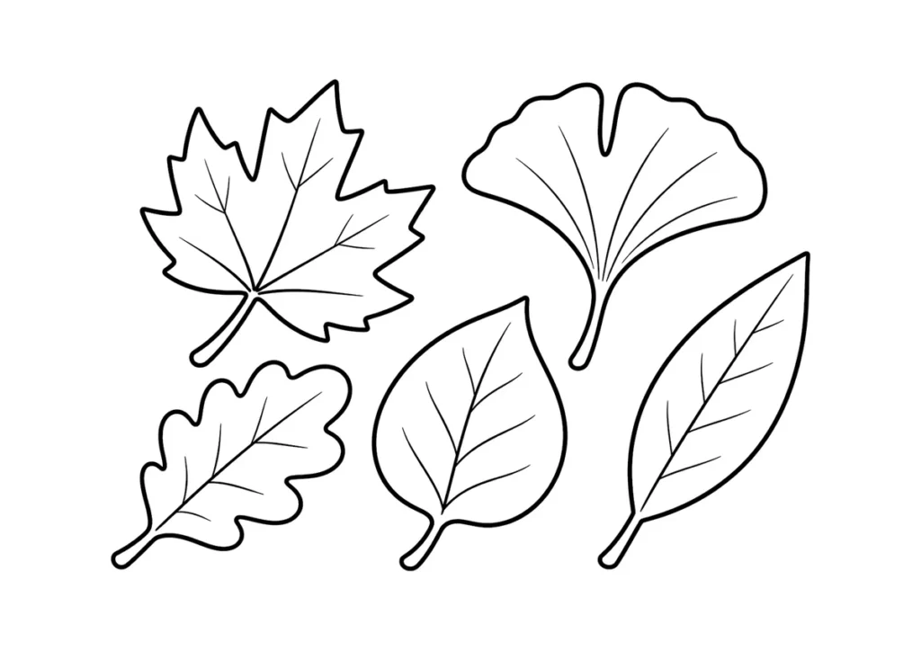 落ち葉の塗り絵