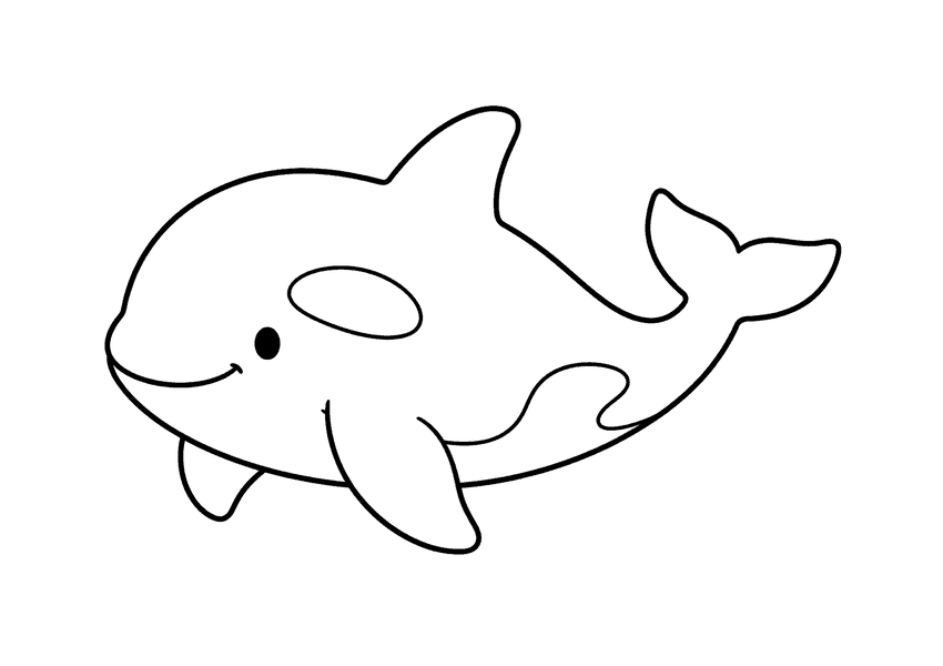 シャチの塗り絵