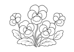 パンジーの塗り絵
