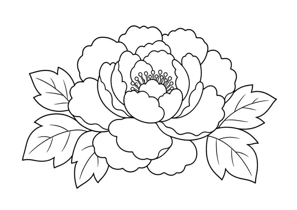 牡丹の塗り絵