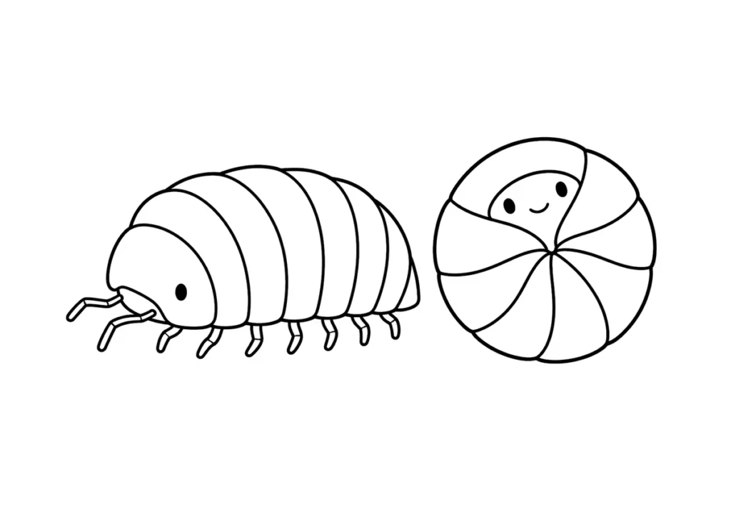 ダンゴムシの塗り絵