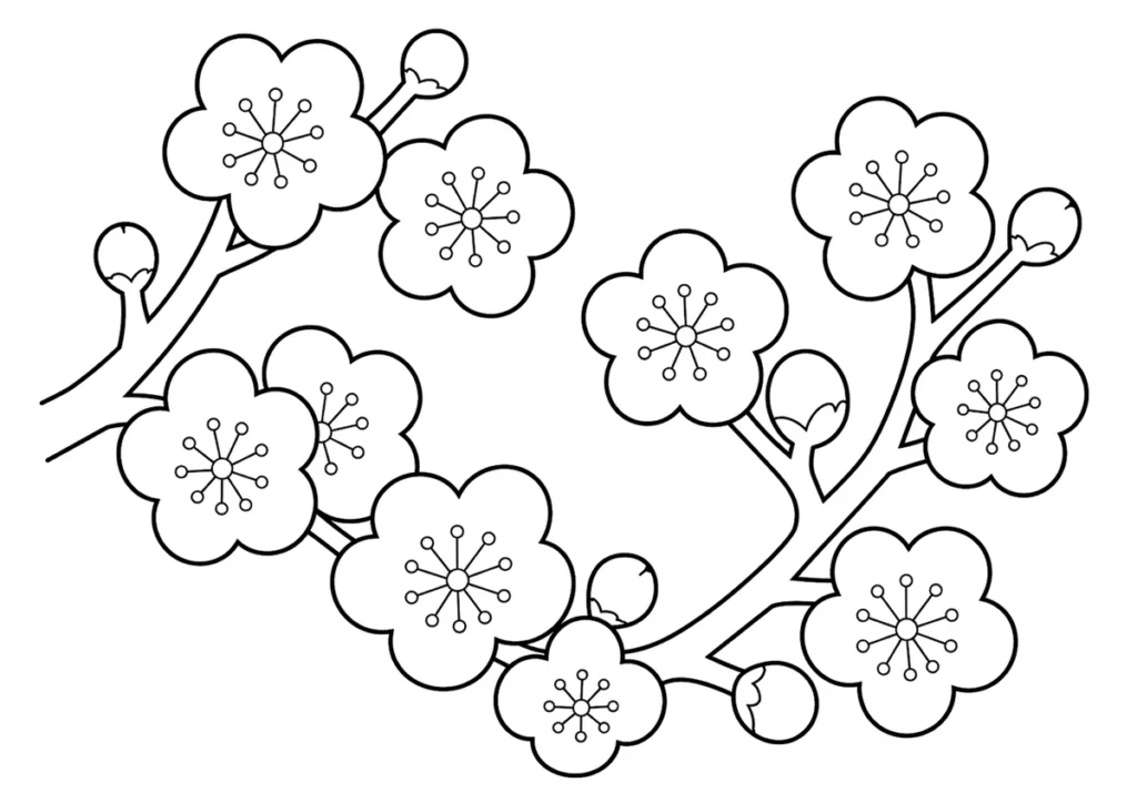 梅の花の塗り絵