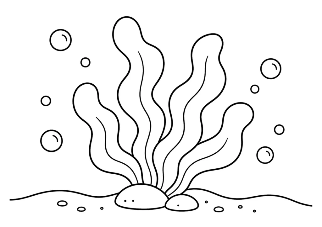 海藻の塗り絵