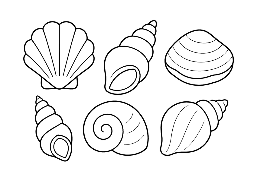 貝殻の塗り絵