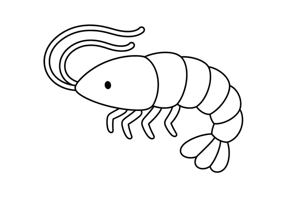 エビの塗り絵