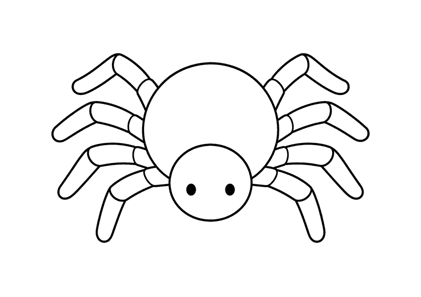 クモの塗り絵