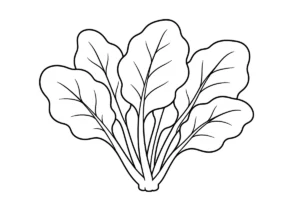 ほうれん草の塗り絵