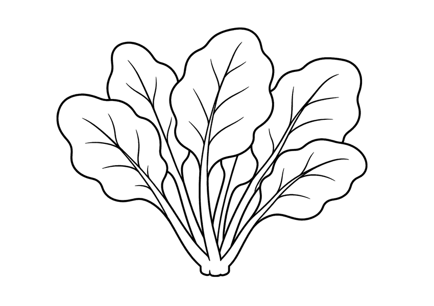 ほうれん草の塗り絵