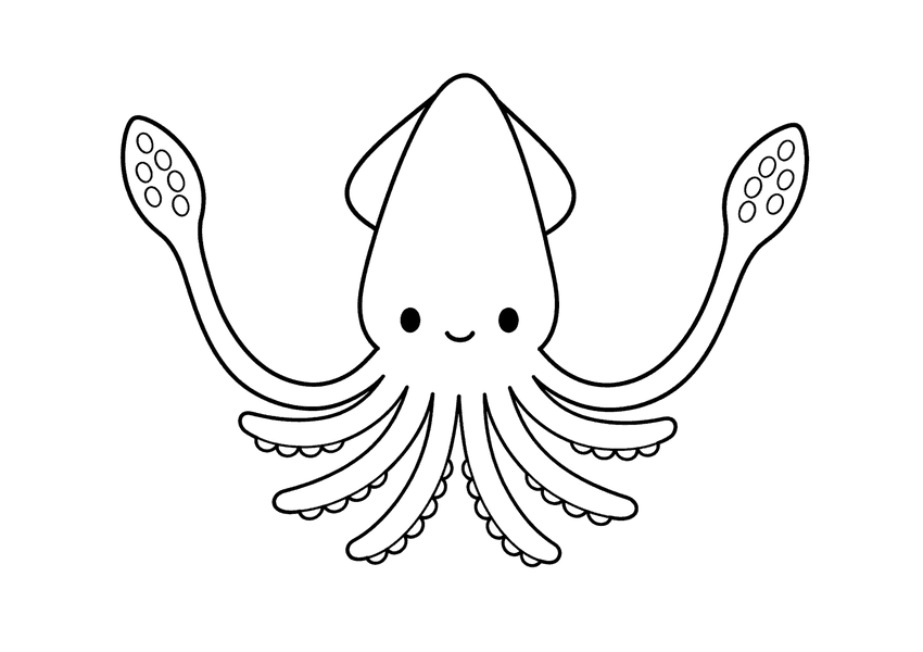 イカの塗り絵
