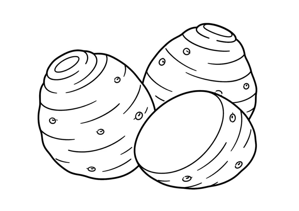 里芋の塗り絵