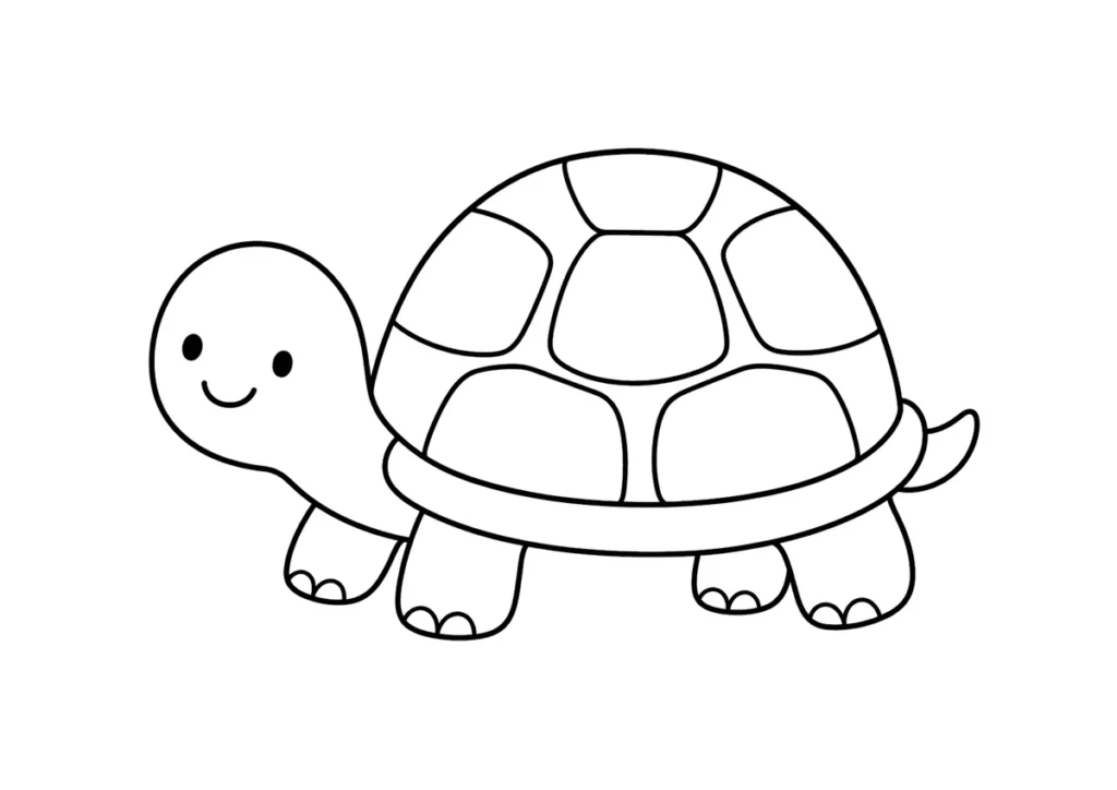 カメの塗り絵