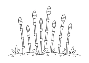 つくしの塗り絵