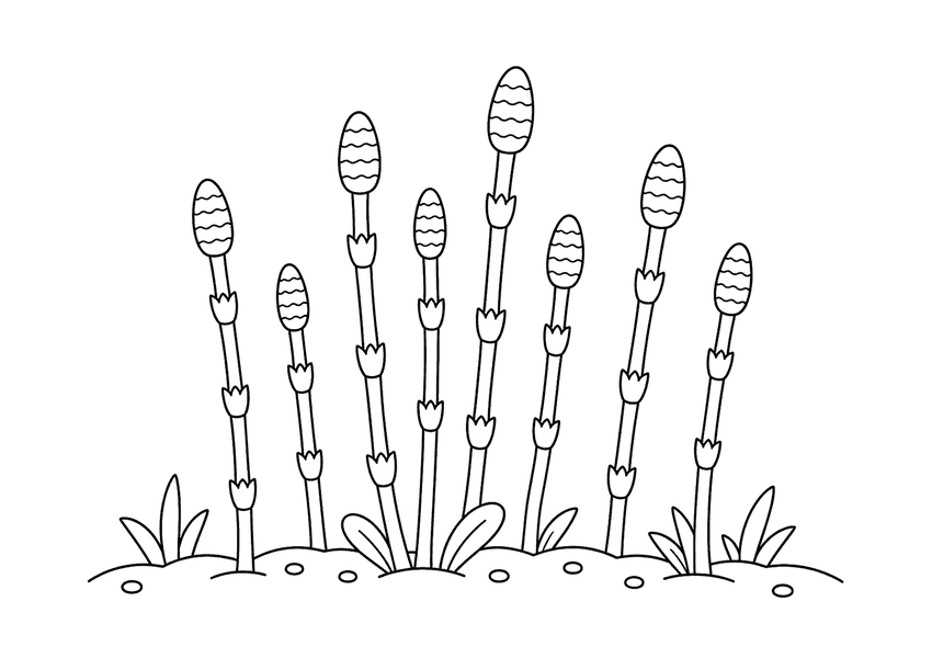 つくしの塗り絵