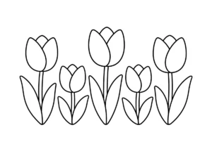 チューリップの塗り絵