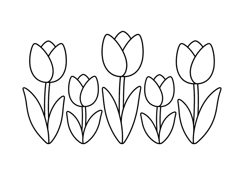 チューリップの塗り絵