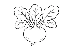 カブの塗り絵