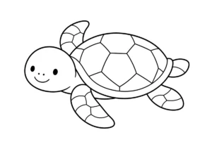 ウミガメの塗り絵