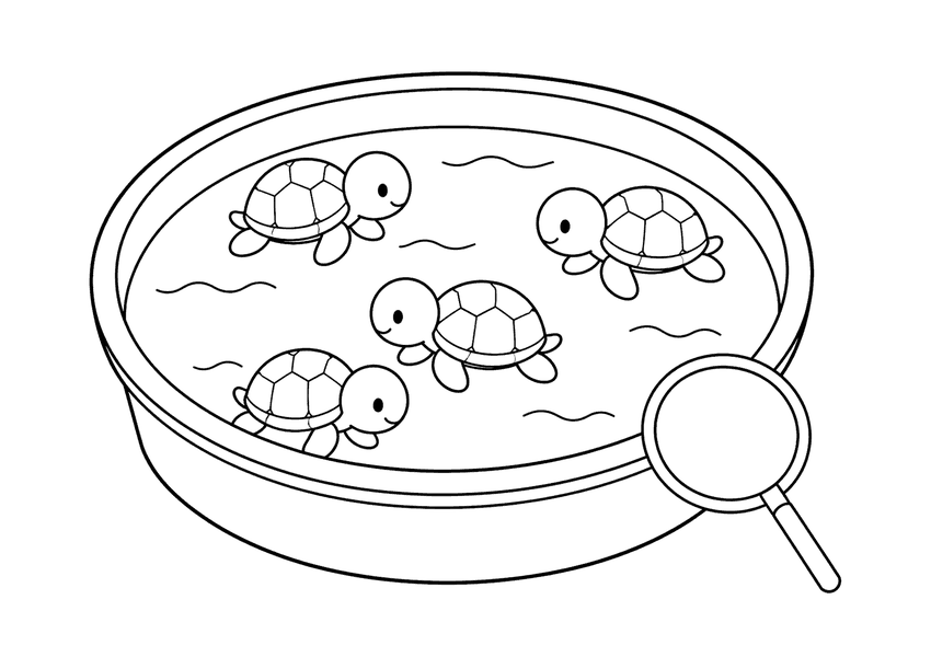 カメすくいの塗り絵