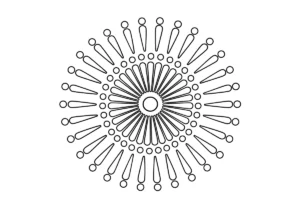 打ち上げ花火「菊」の塗り絵