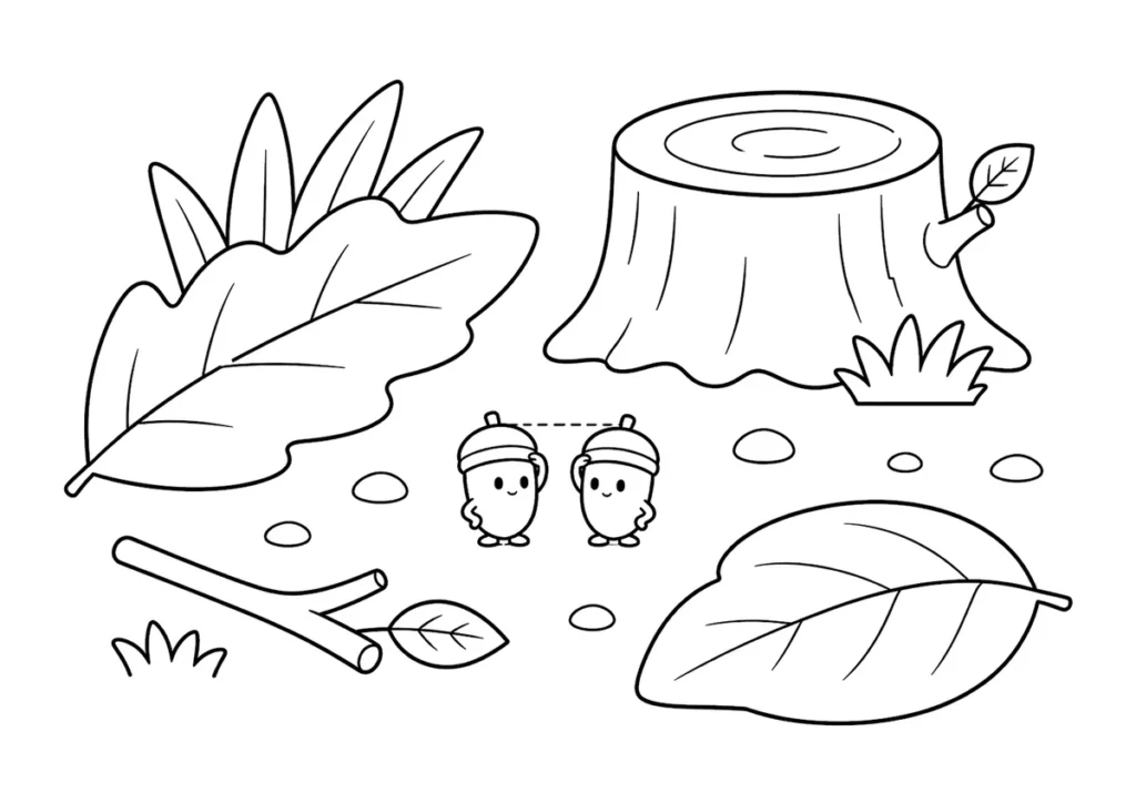 どんぐりの背比べの塗り絵