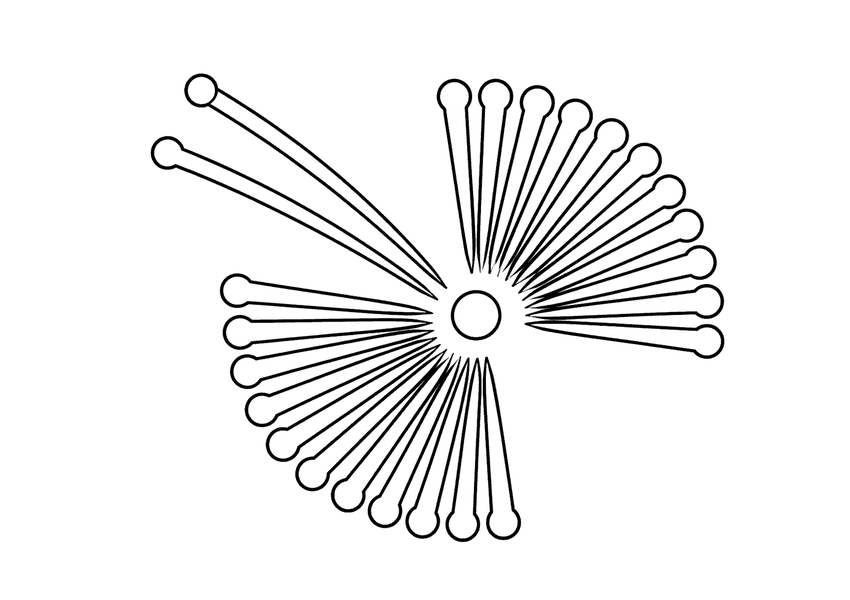 打ち上げ花火「蝶」の塗り絵