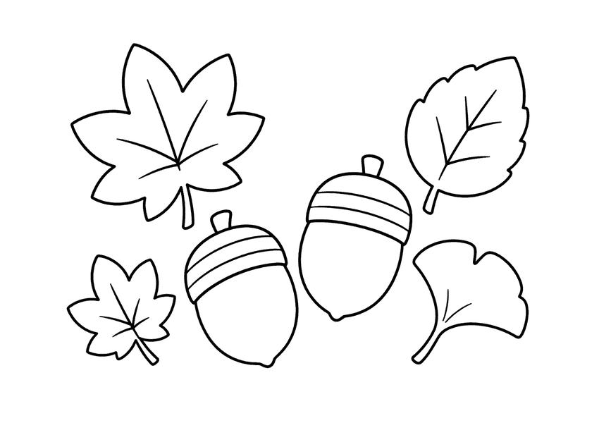 紅葉とどんぐりの塗り絵