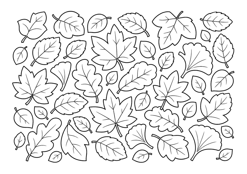落ち葉のじゅうたんの塗り絵