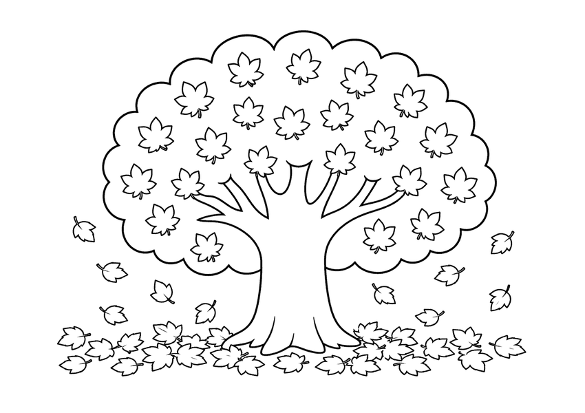 紅葉した大きな木の塗り絵